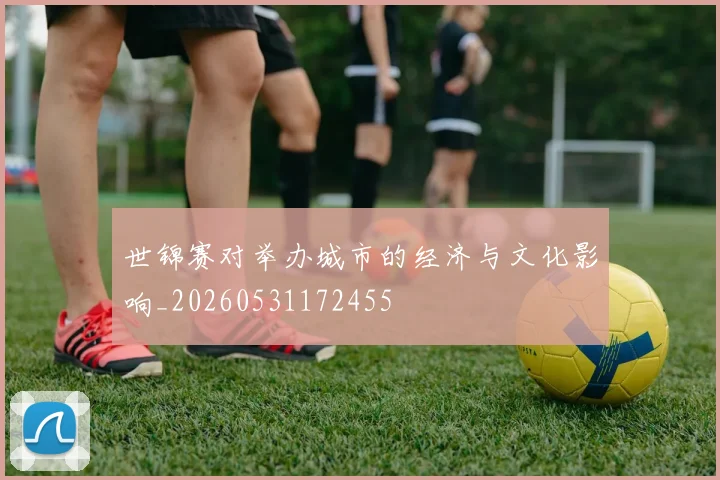 世锦赛对举办城市的经济与文化影响_20260531172455