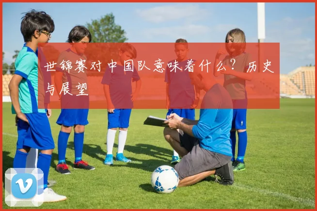 世锦赛对中国队意味着什么？历史与展望